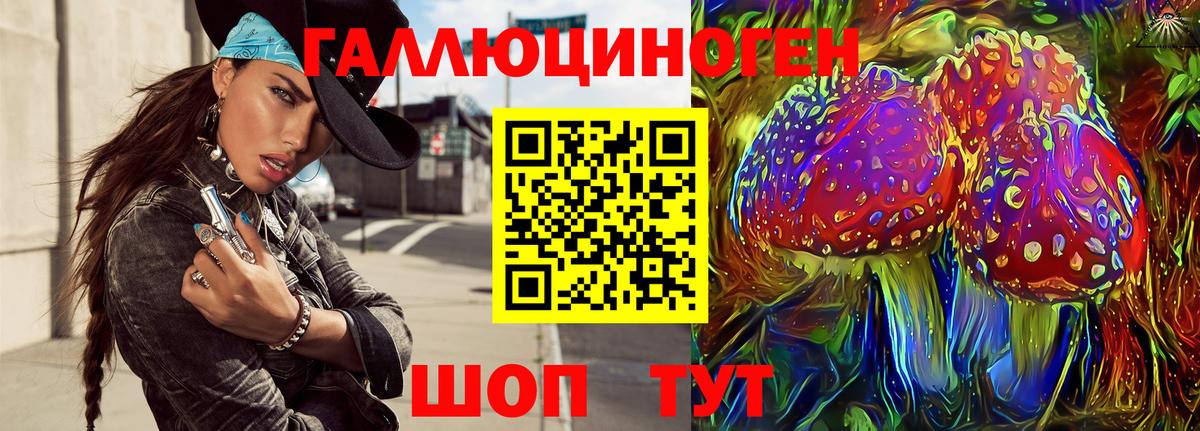 Галлюциногенные грибы Psilocybine cubensis Димитровград